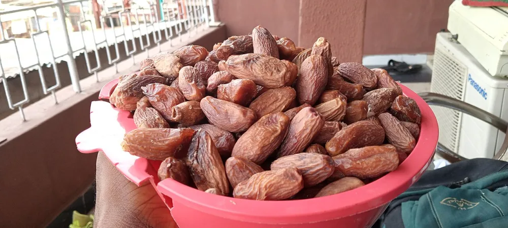 Jenis-Jenis Kurma Terbaik: Panduan Lengkap Ajwa, Sukari, Medjool & Lainnya