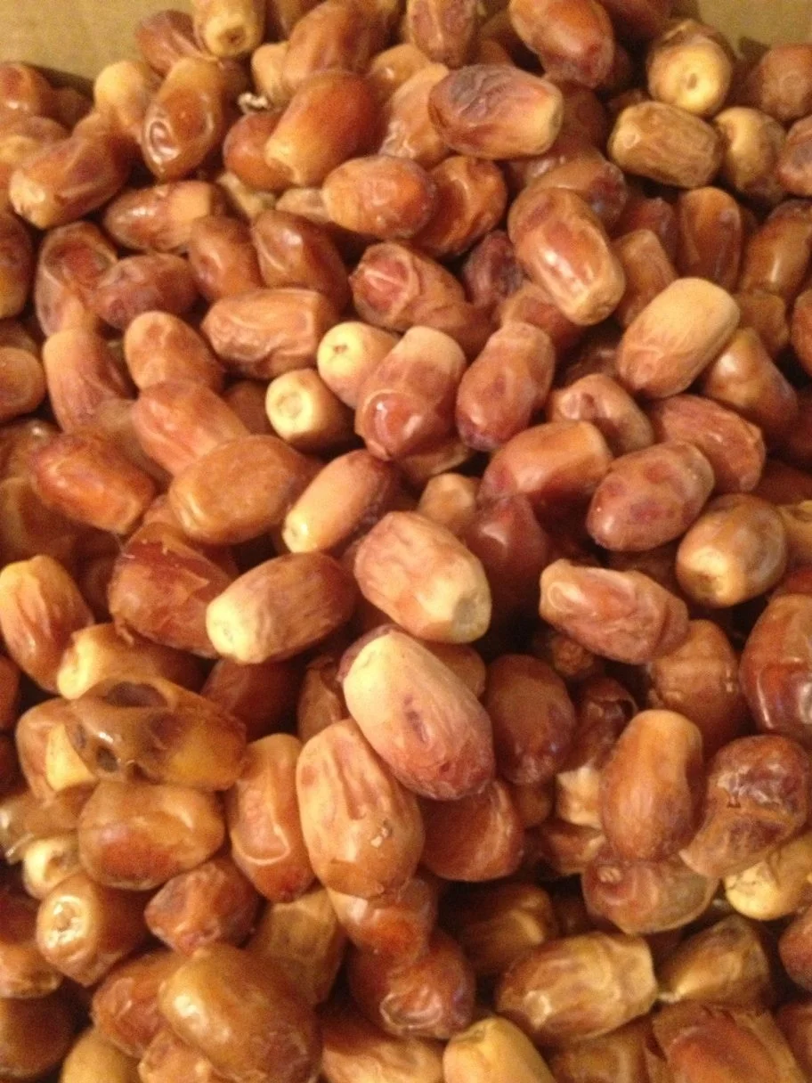 Variasi stok kurma dari jalur importir langsung